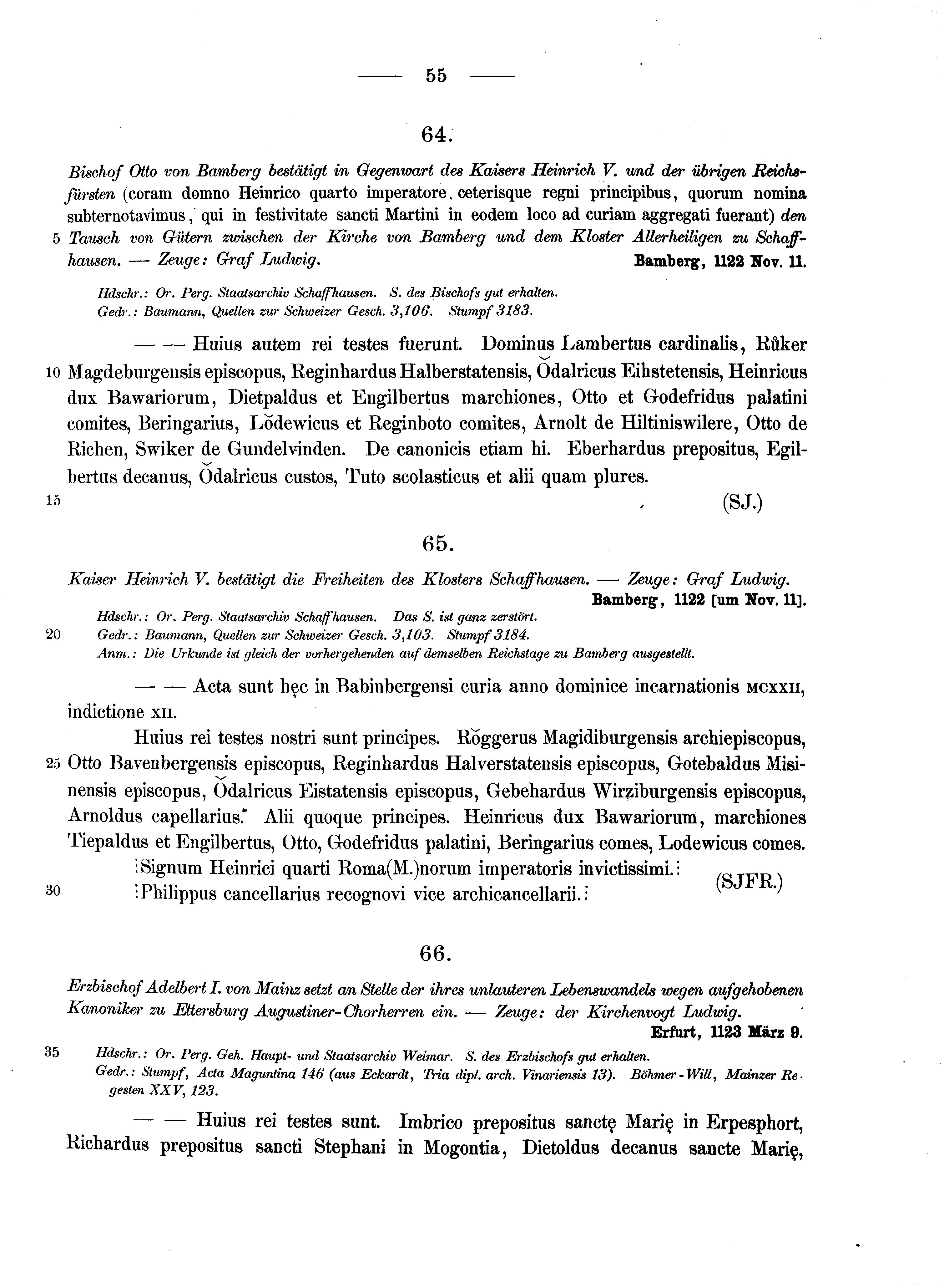 Historische Urkunde Seite 55 aus Band cds1a2