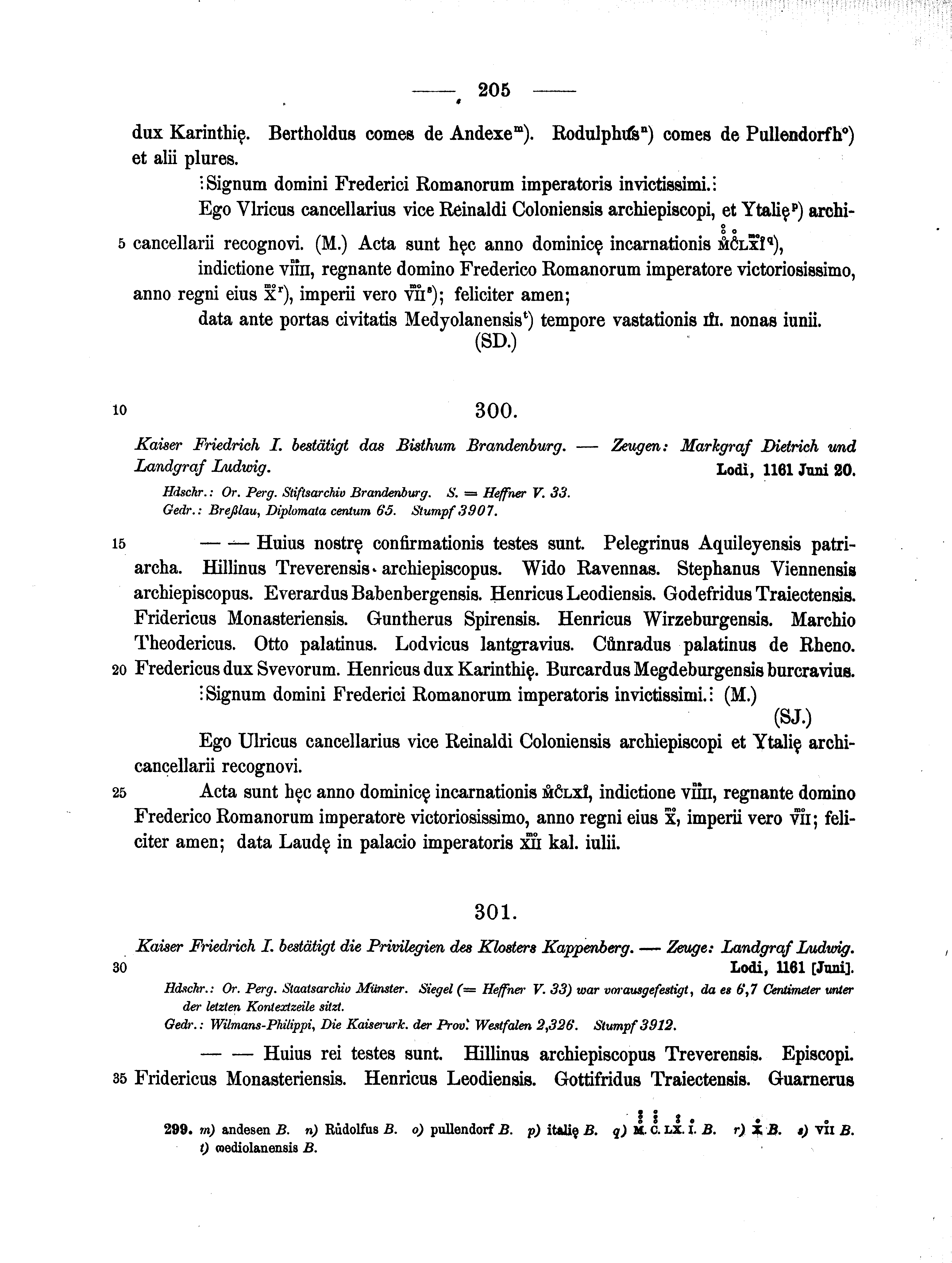 Historische Urkunde Seite 205 aus Band cds1a2