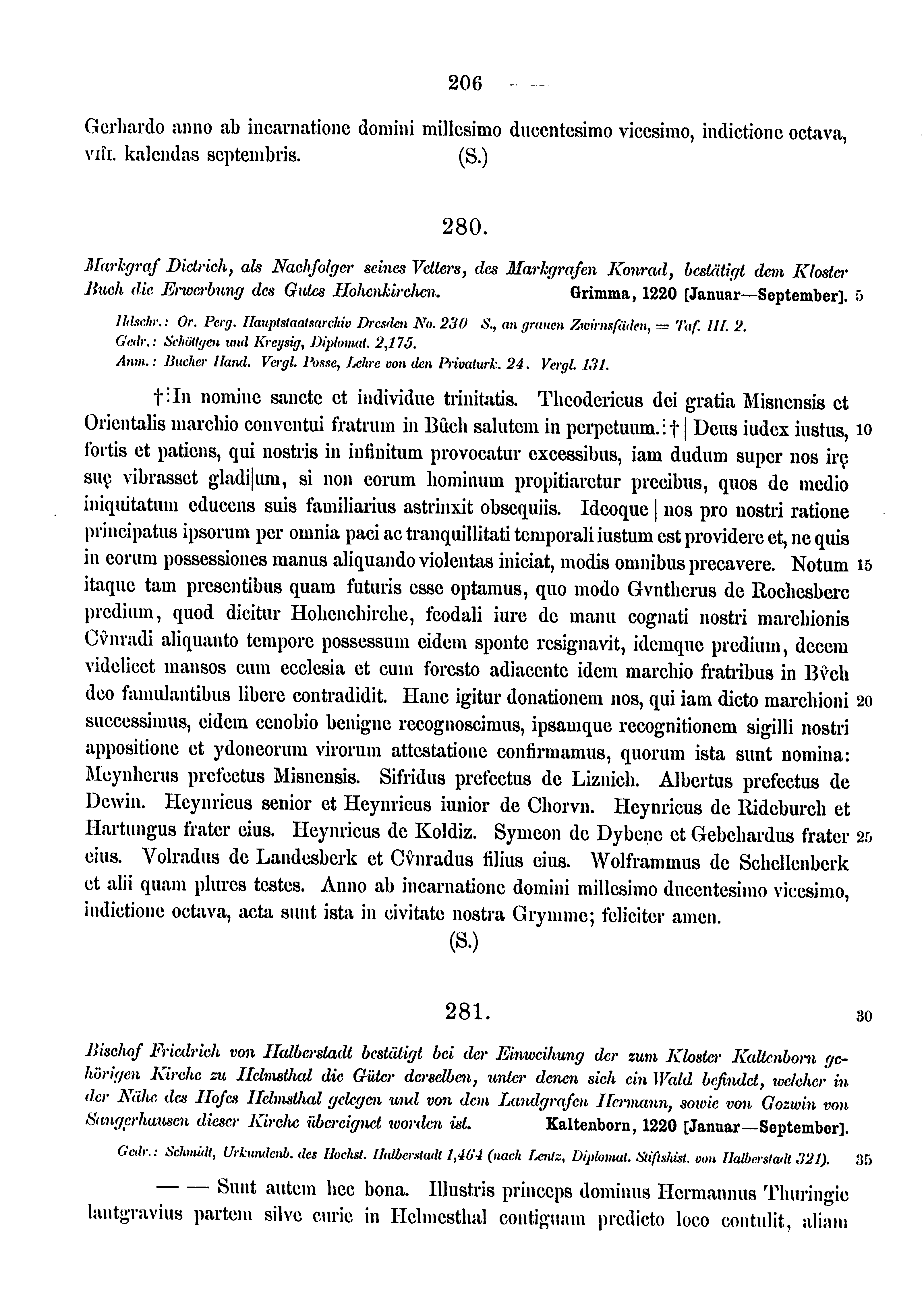 Historische Urkunde Seite 206 aus Band cds1a3