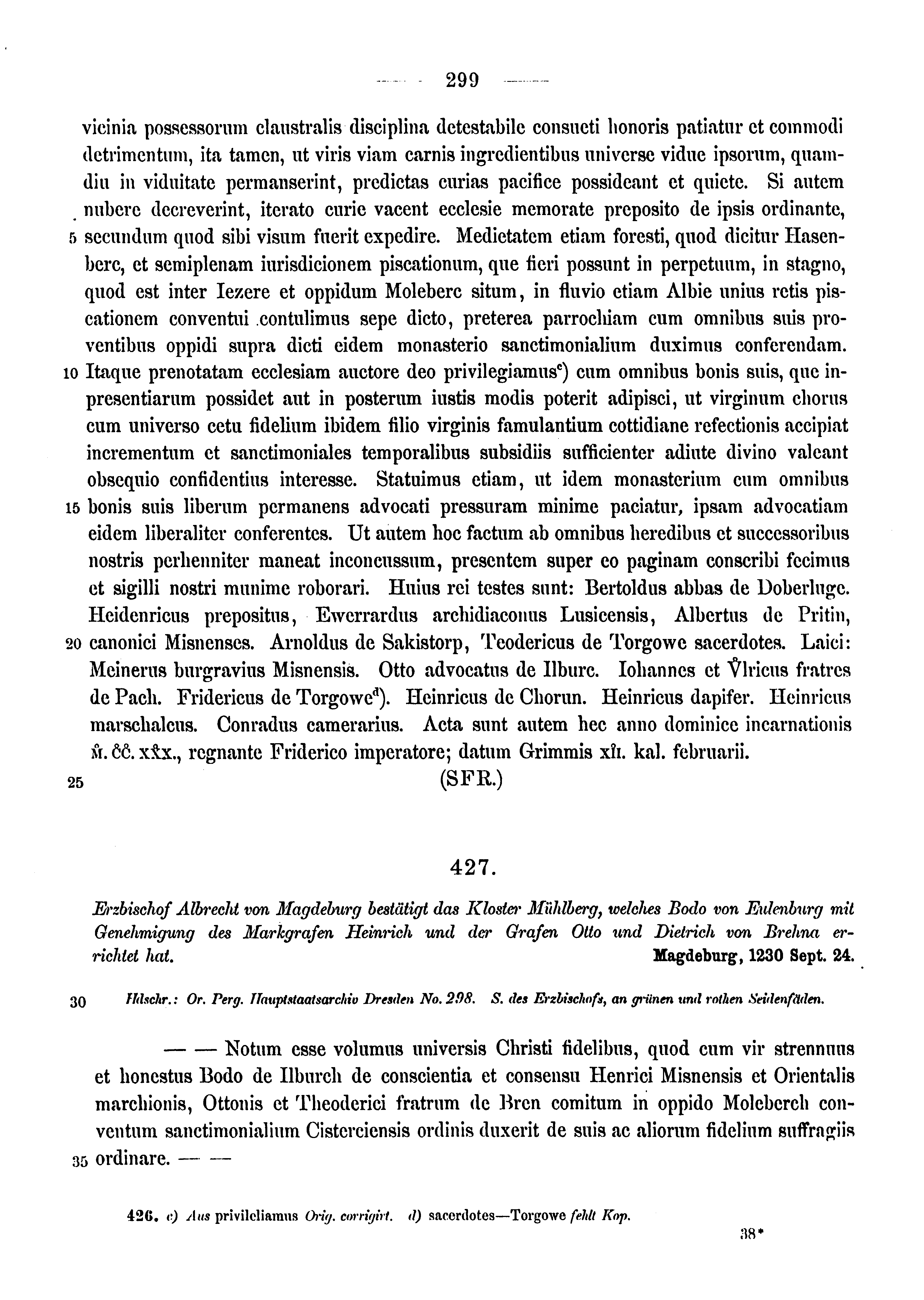 Historische Urkunde Seite 299 aus Band cds1a3