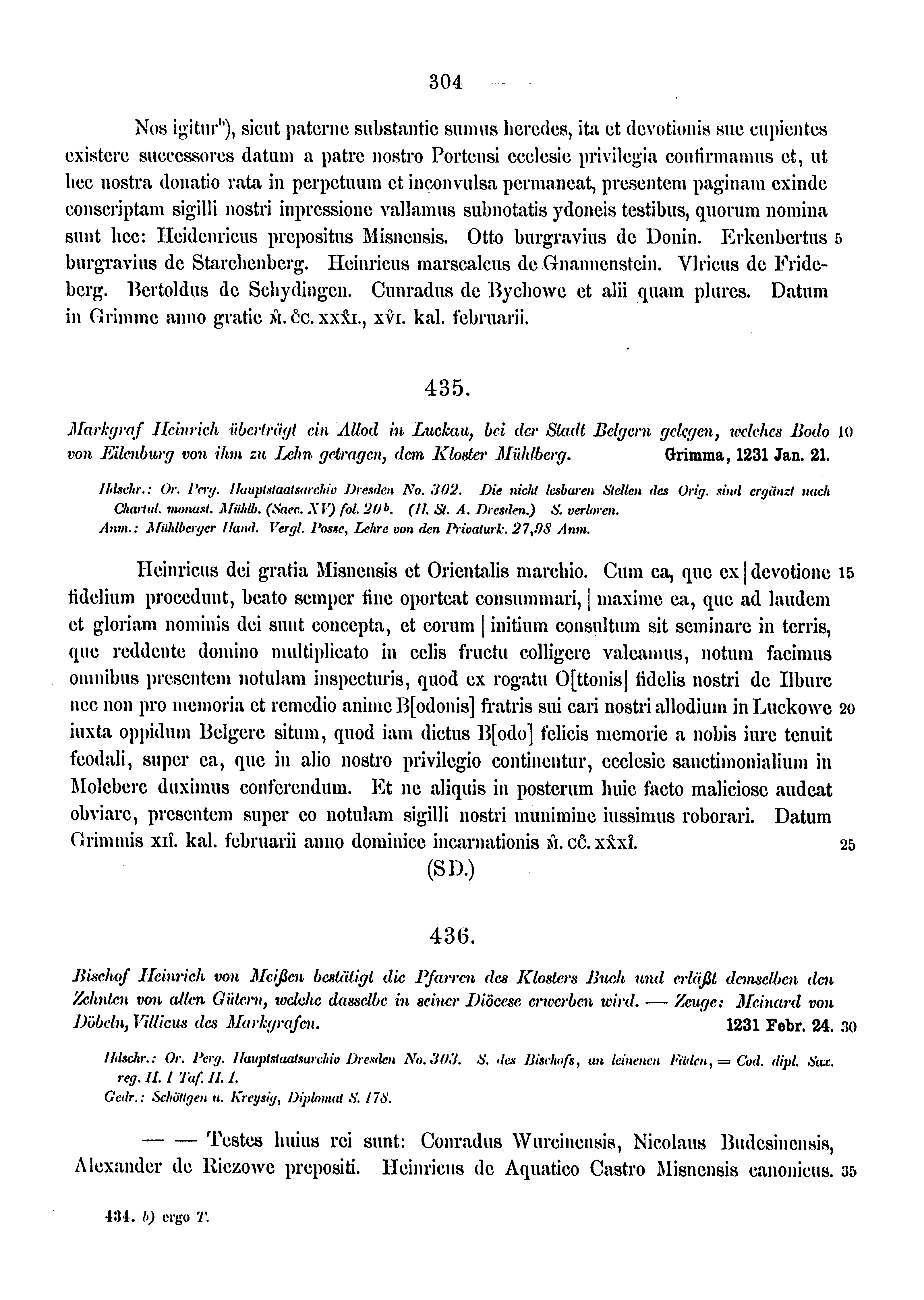 Historische Urkunde Seite 304 aus Band cds1a3