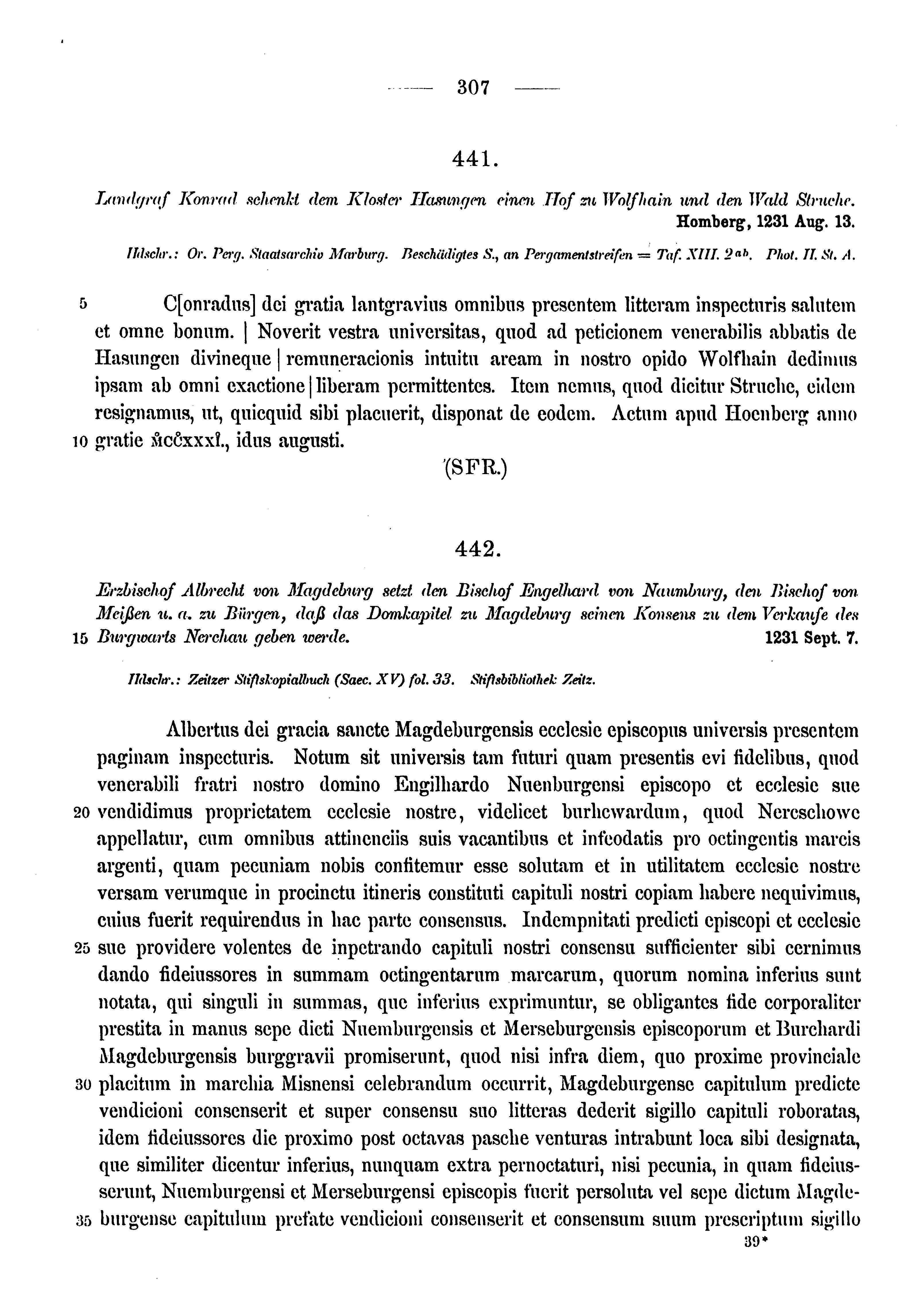 Historische Urkunde Seite 307 aus Band cds1a3