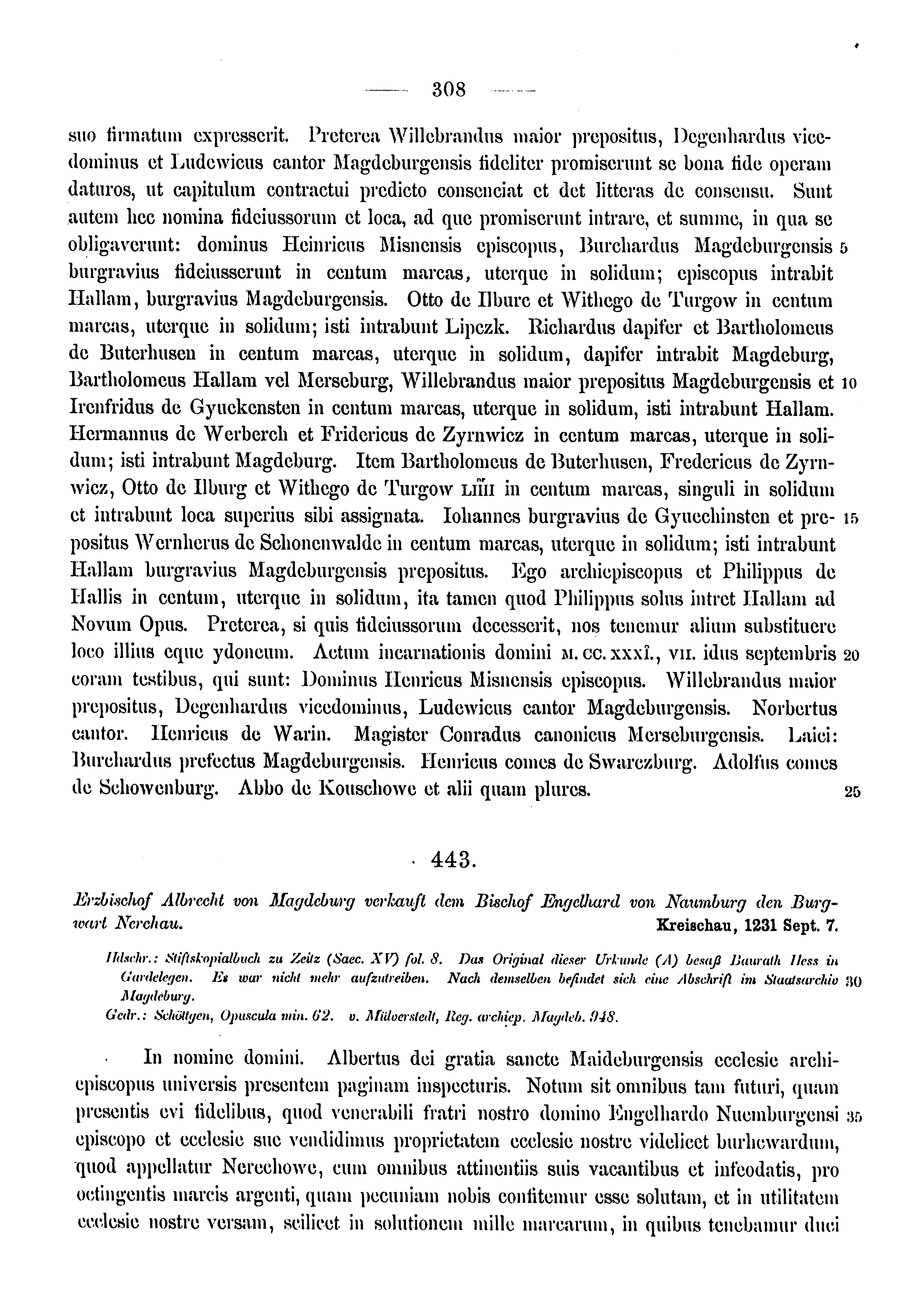 Historische Urkunde Seite 308 aus Band cds1a3