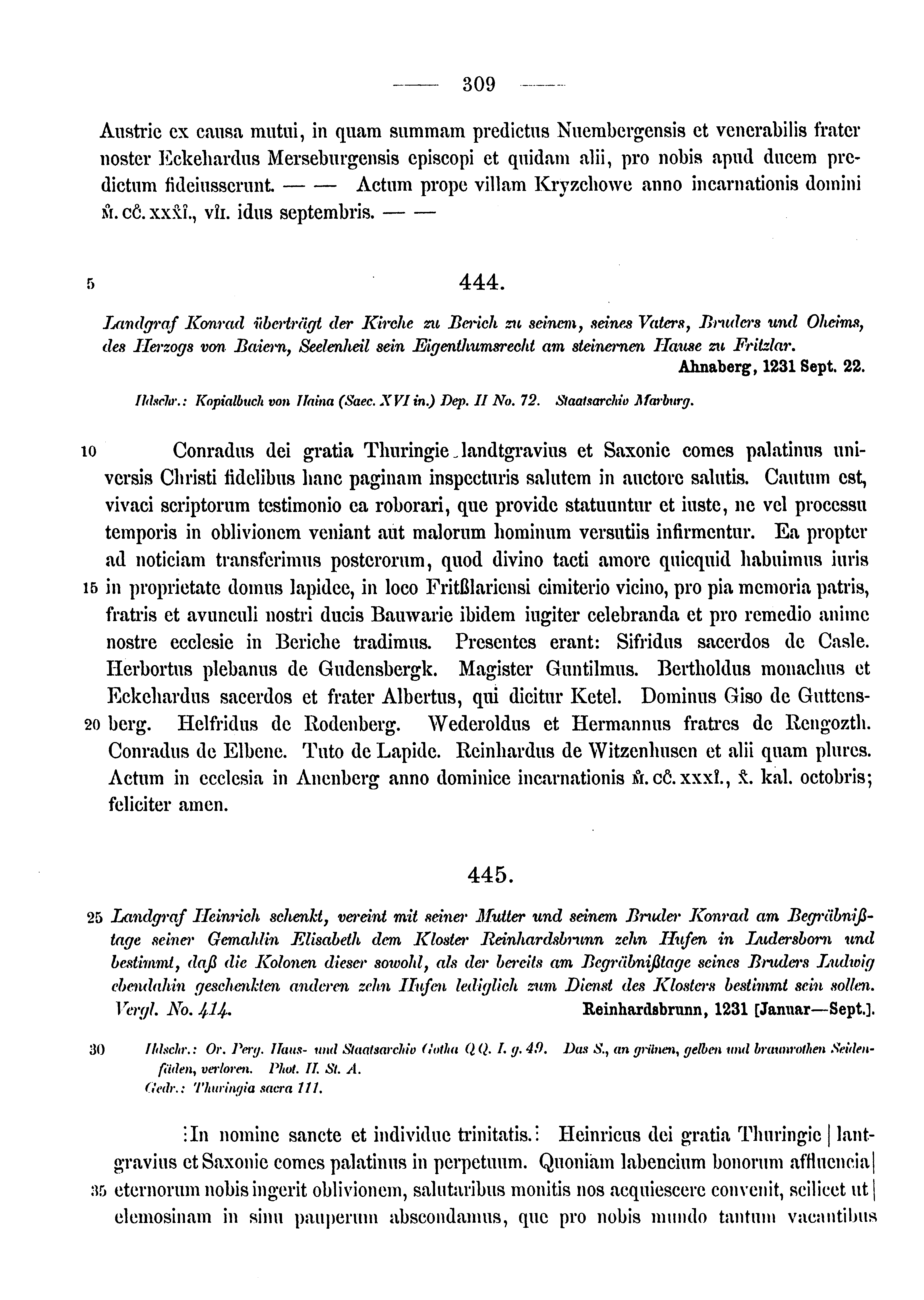 Historische Urkunde Seite 309 aus Band cds1a3