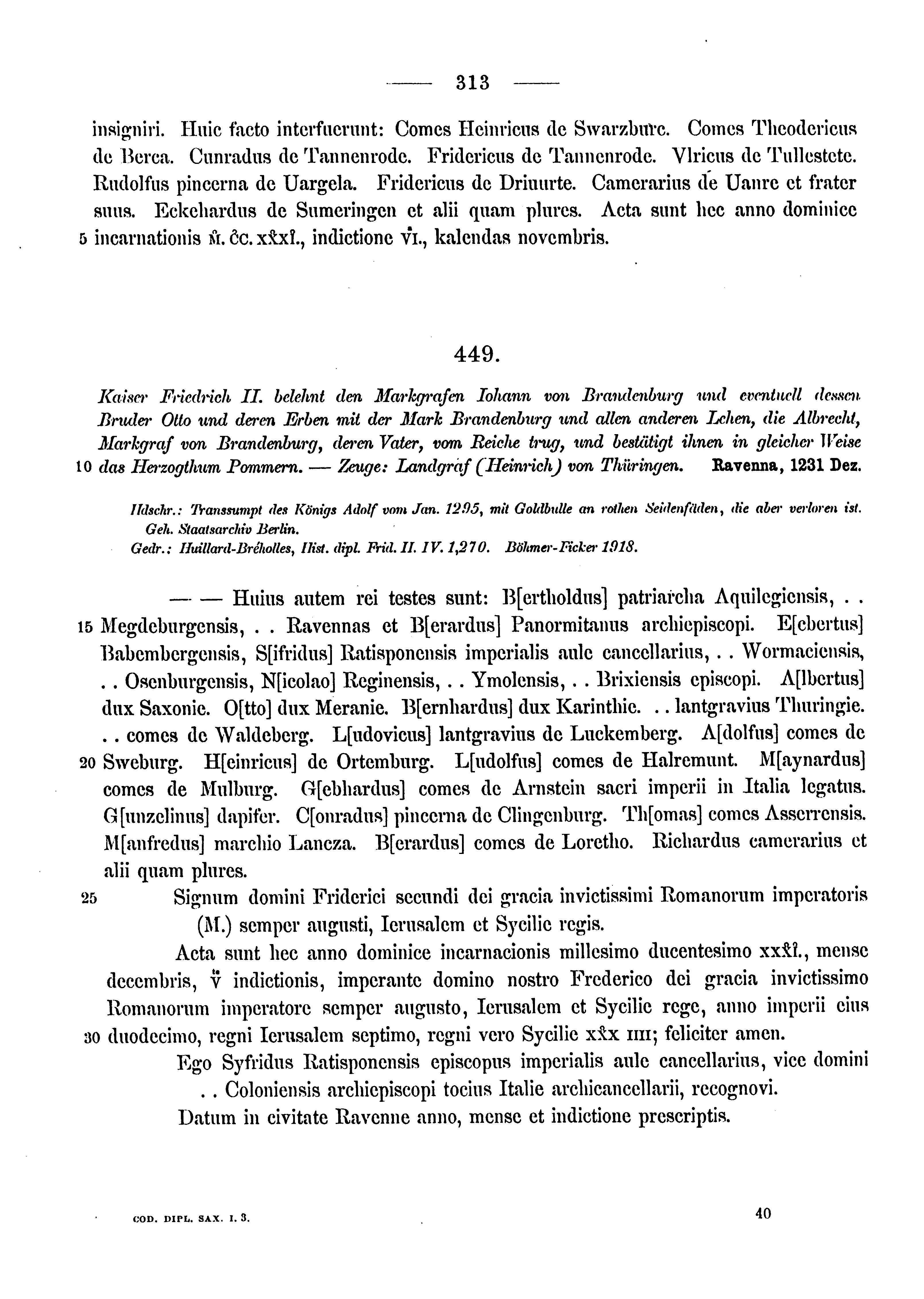 Historische Urkunde Seite 313 aus Band cds1a3