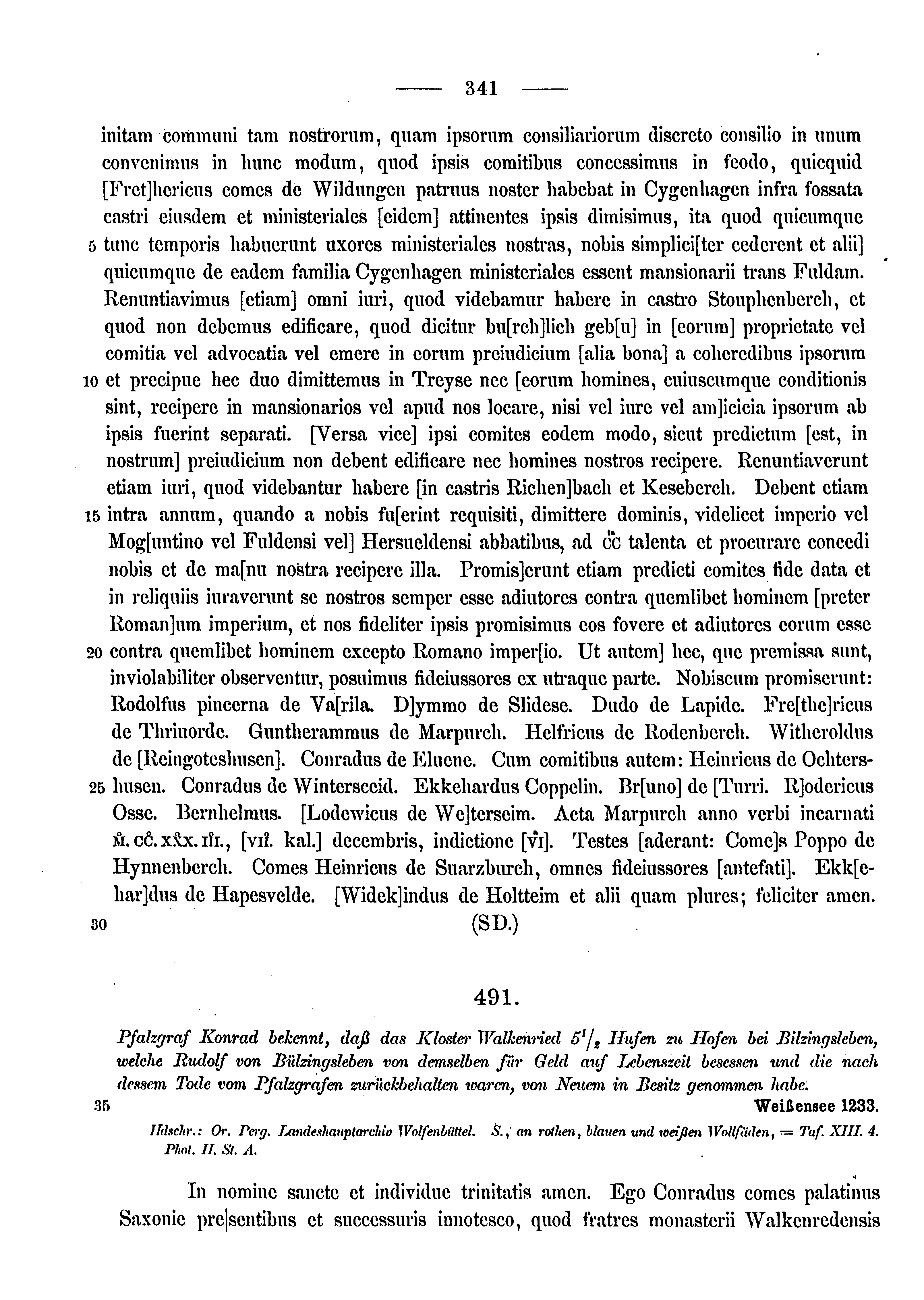 Historische Urkunde Seite 341 aus Band cds1a3