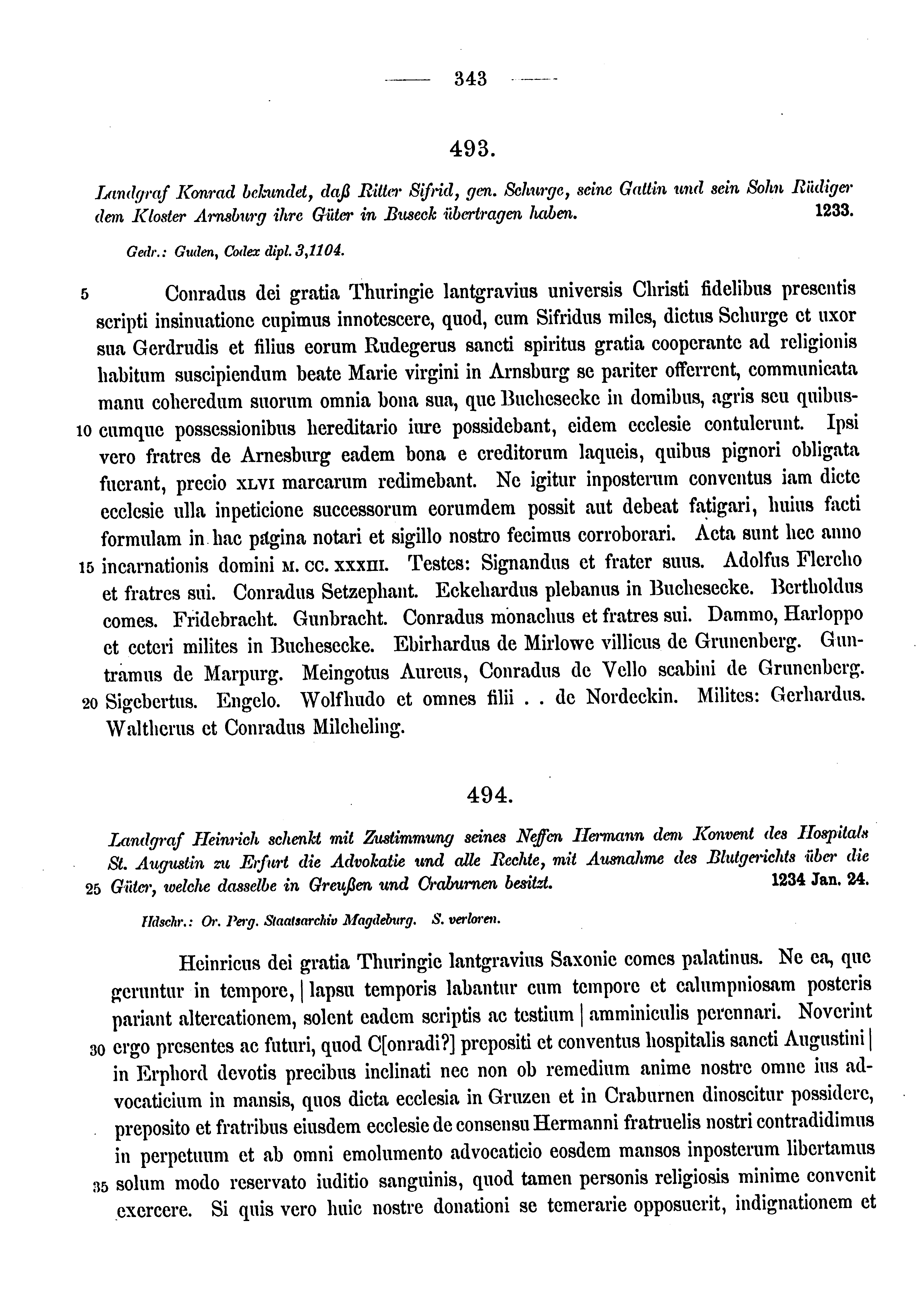 Historische Urkunde Seite 343 aus Band cds1a3