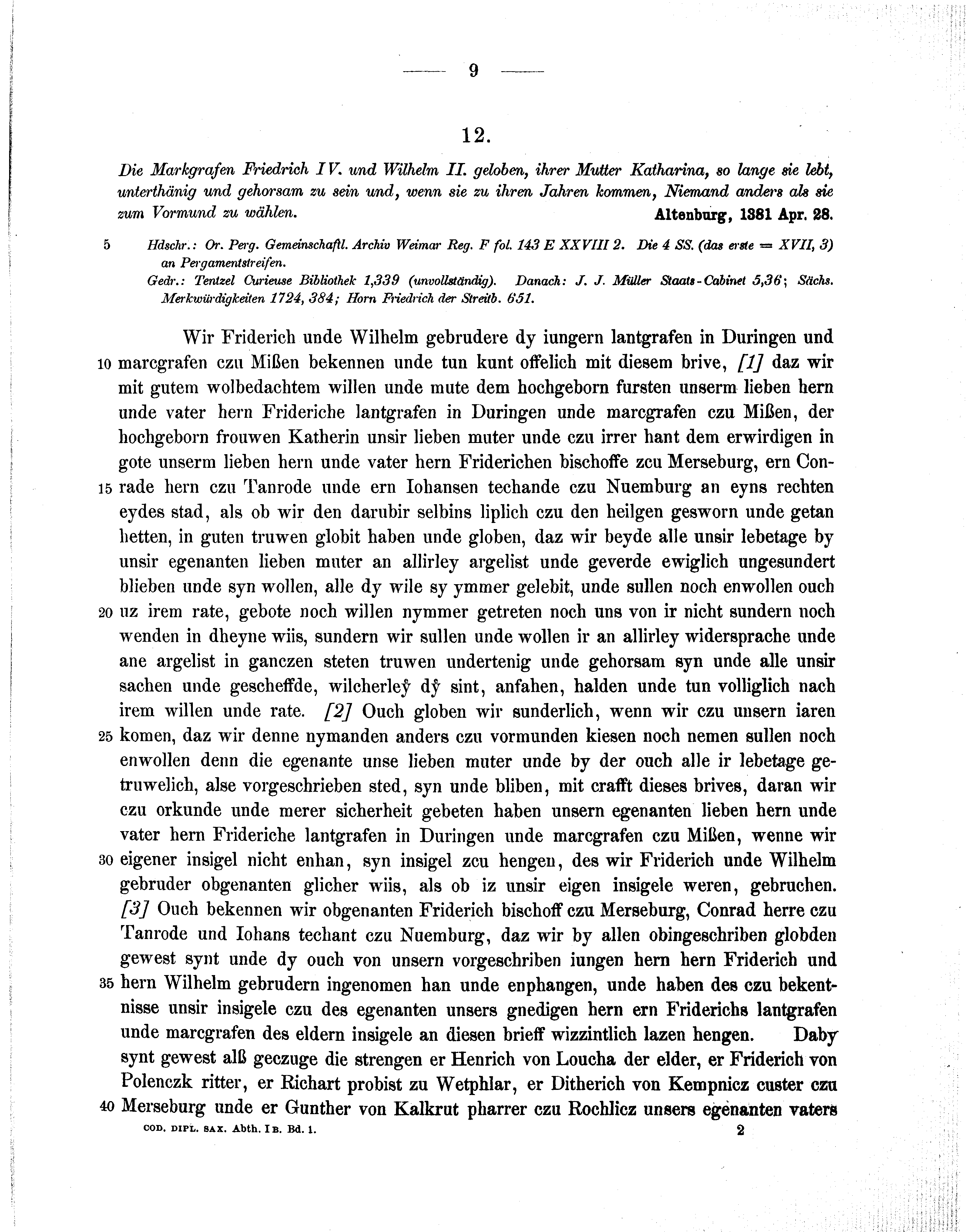 Historische Urkunde Seite 9 aus Band cds1b1