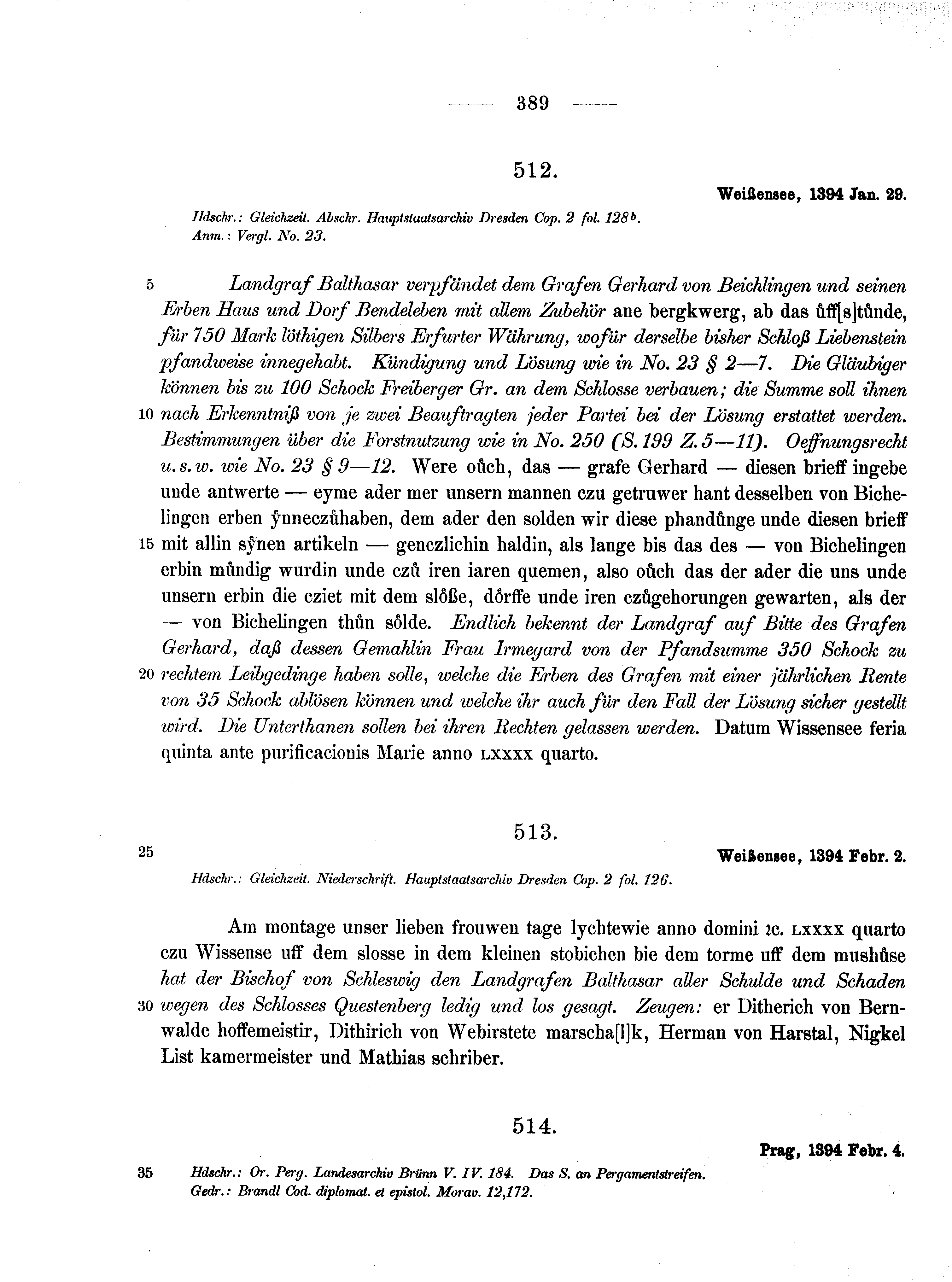 Historische Urkunde Seite 389 aus Band cds1b1