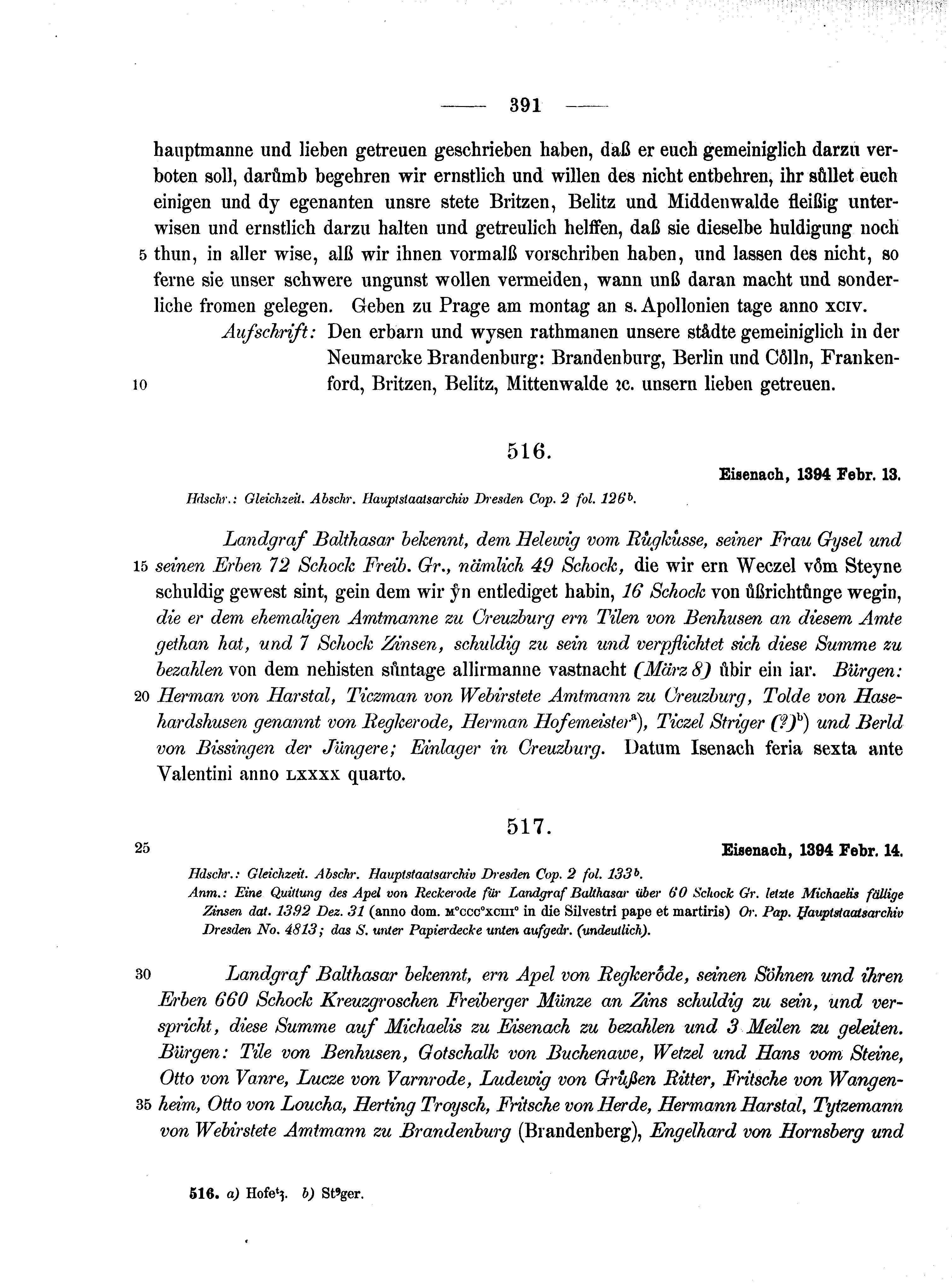 Historische Urkunde Seite 391 aus Band cds1b1