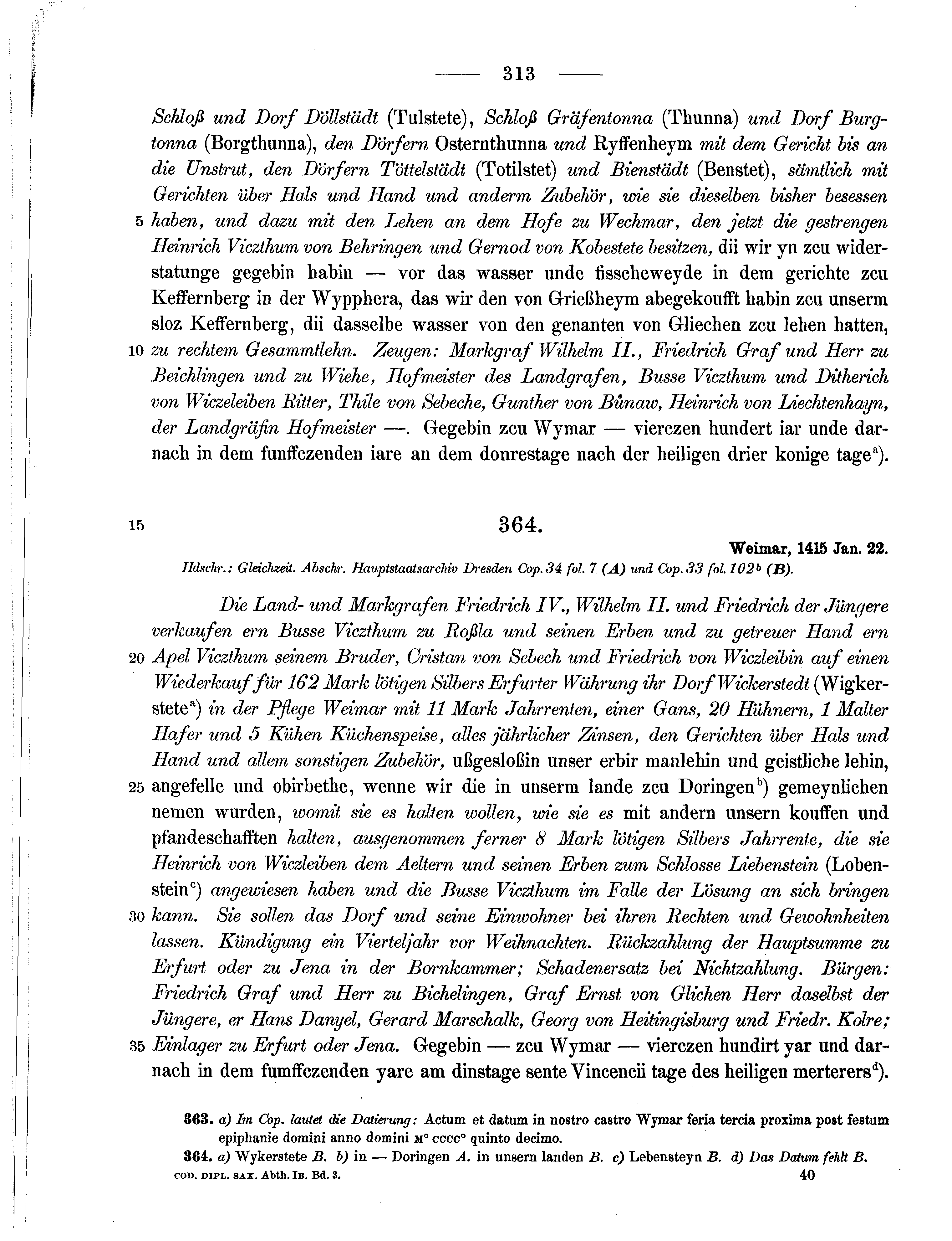 Historische Urkunde Seite 313 aus Band cds1b3
