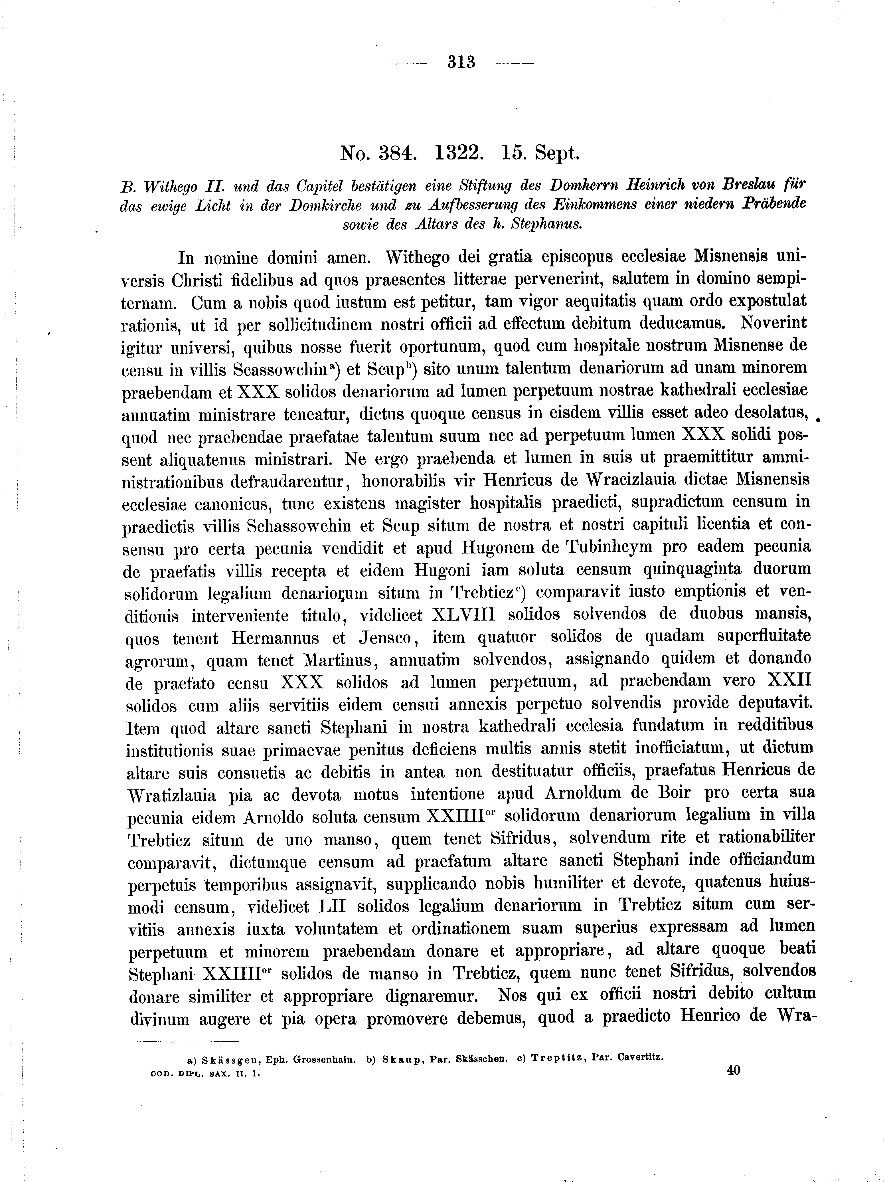 Historische Urkunde Seite 313 aus Band cds2_01