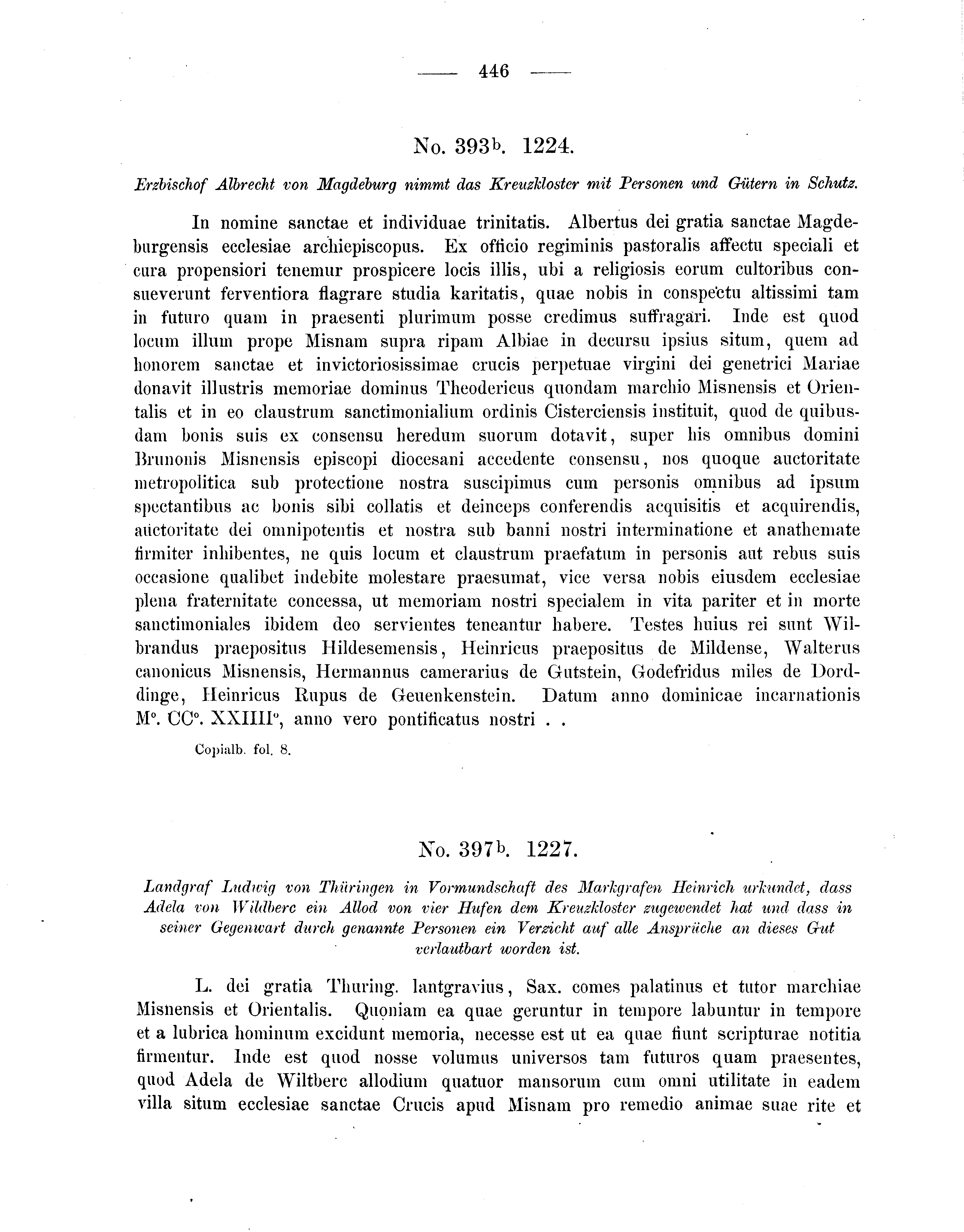 Historische Urkunde Seite 446 aus Band cds2_04