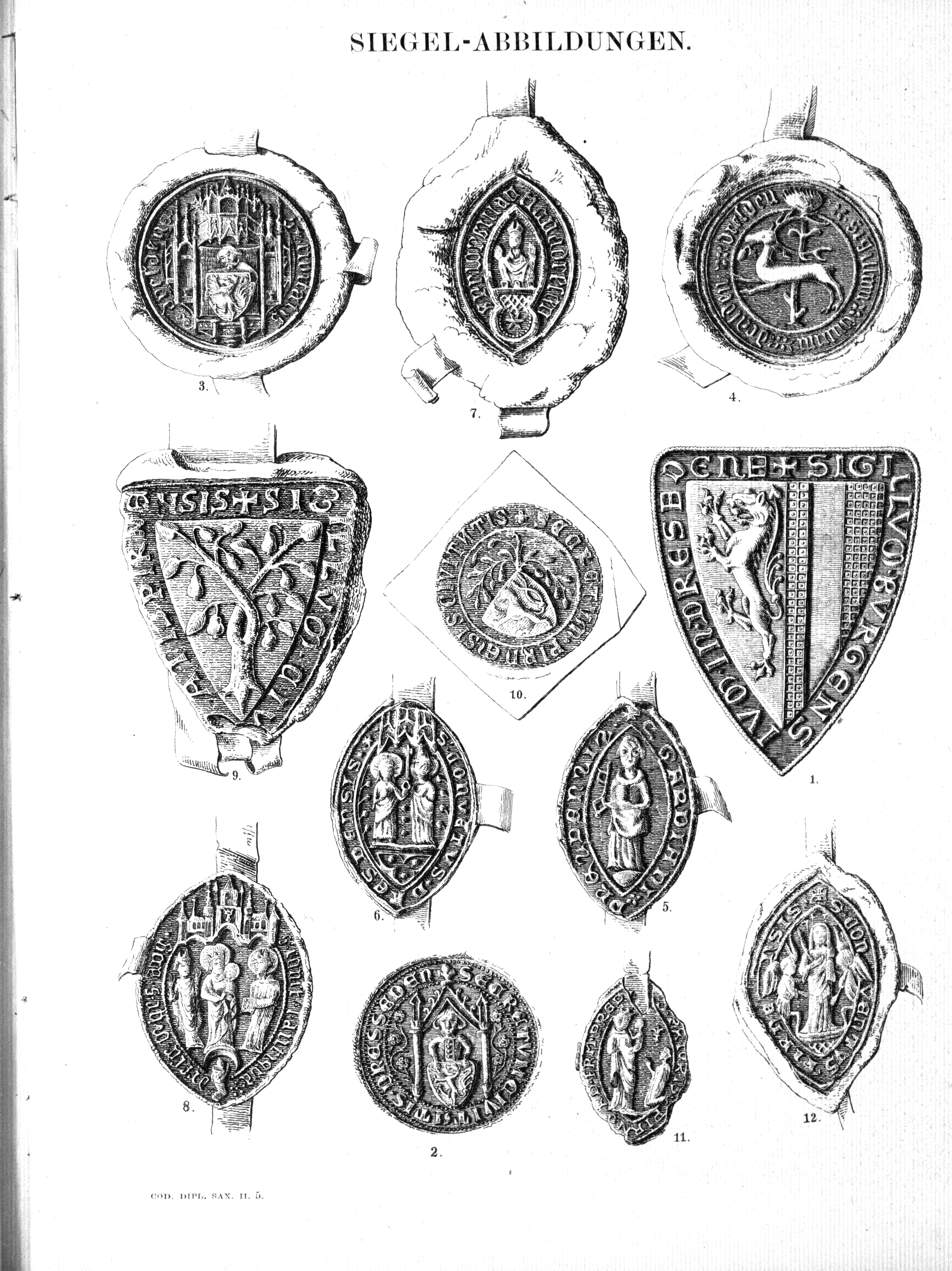 Historische Urkunde Seite 2 aus Band cds2_05