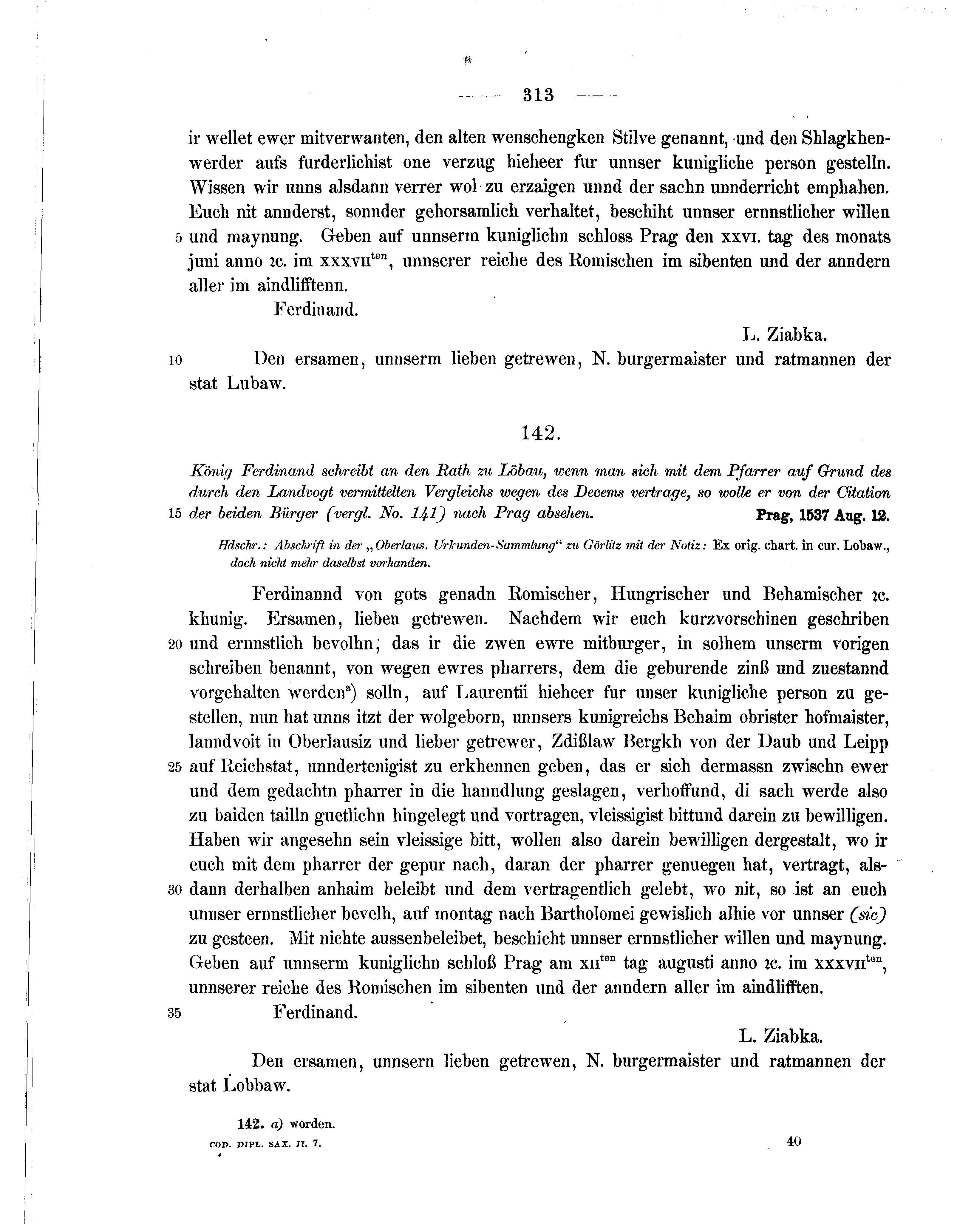 Historische Urkunde Seite 313 aus Band cds2_07