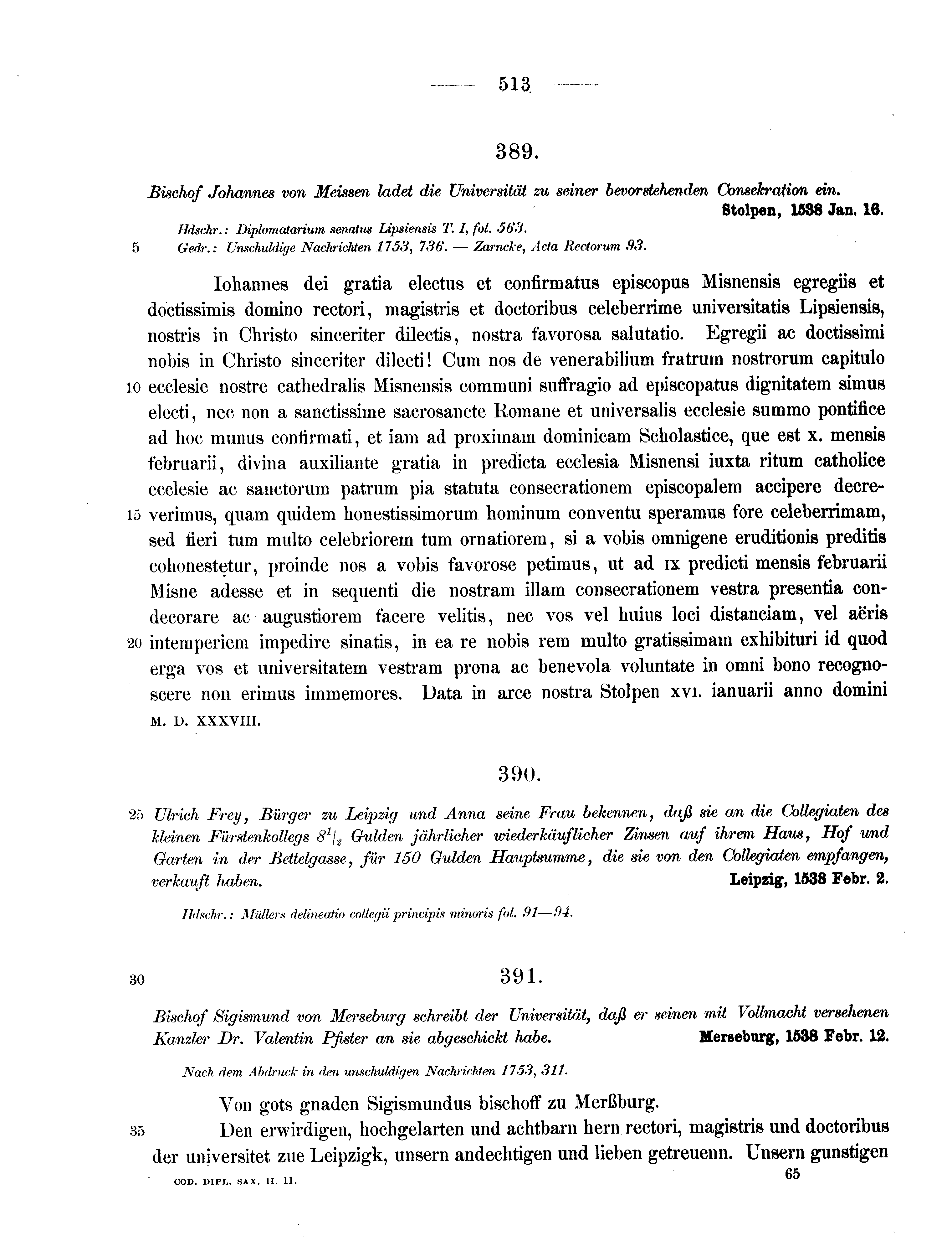 Historische Urkunde Seite 513 aus Band cds2_11