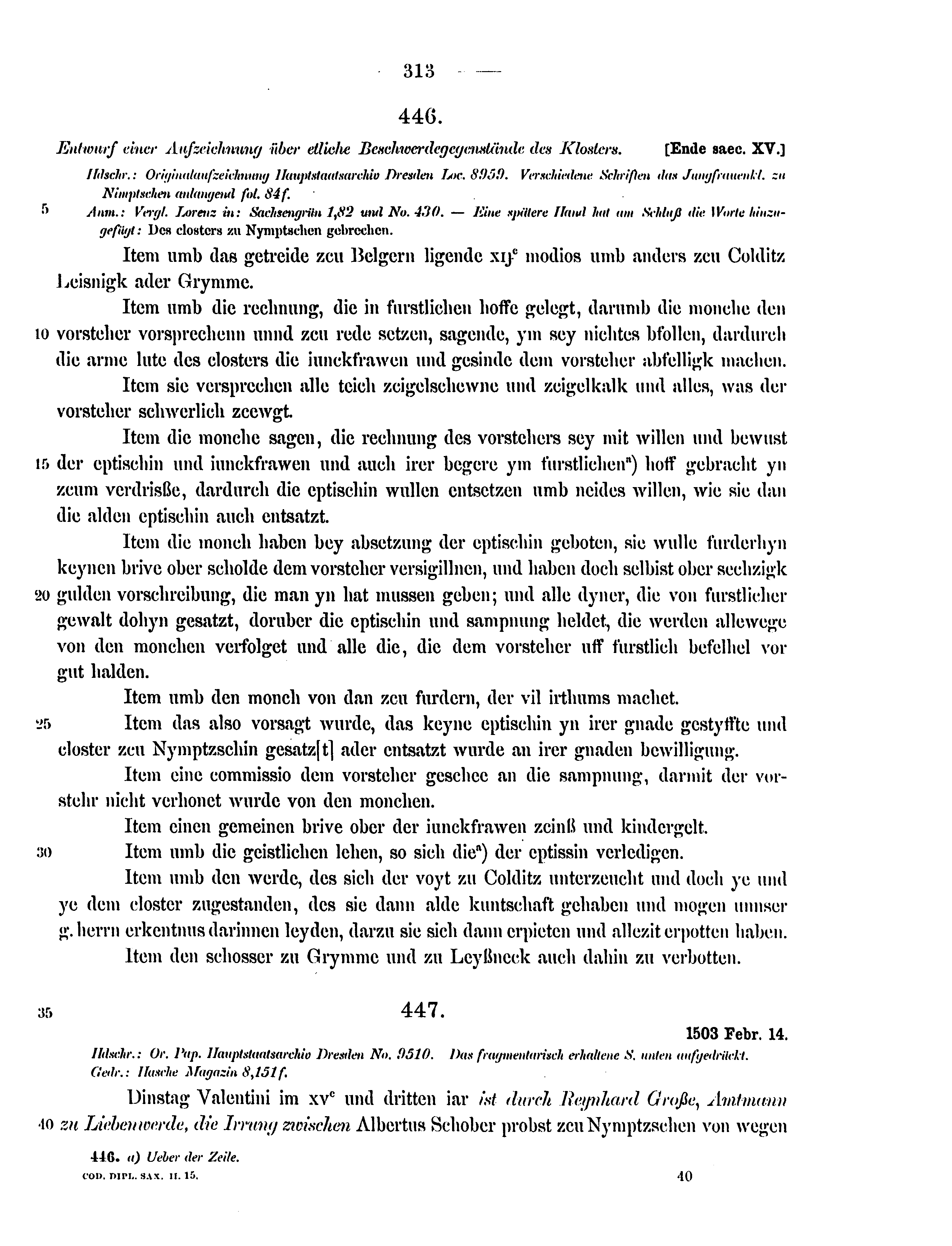 Historische Urkunde Seite 313 aus Band cds2_15