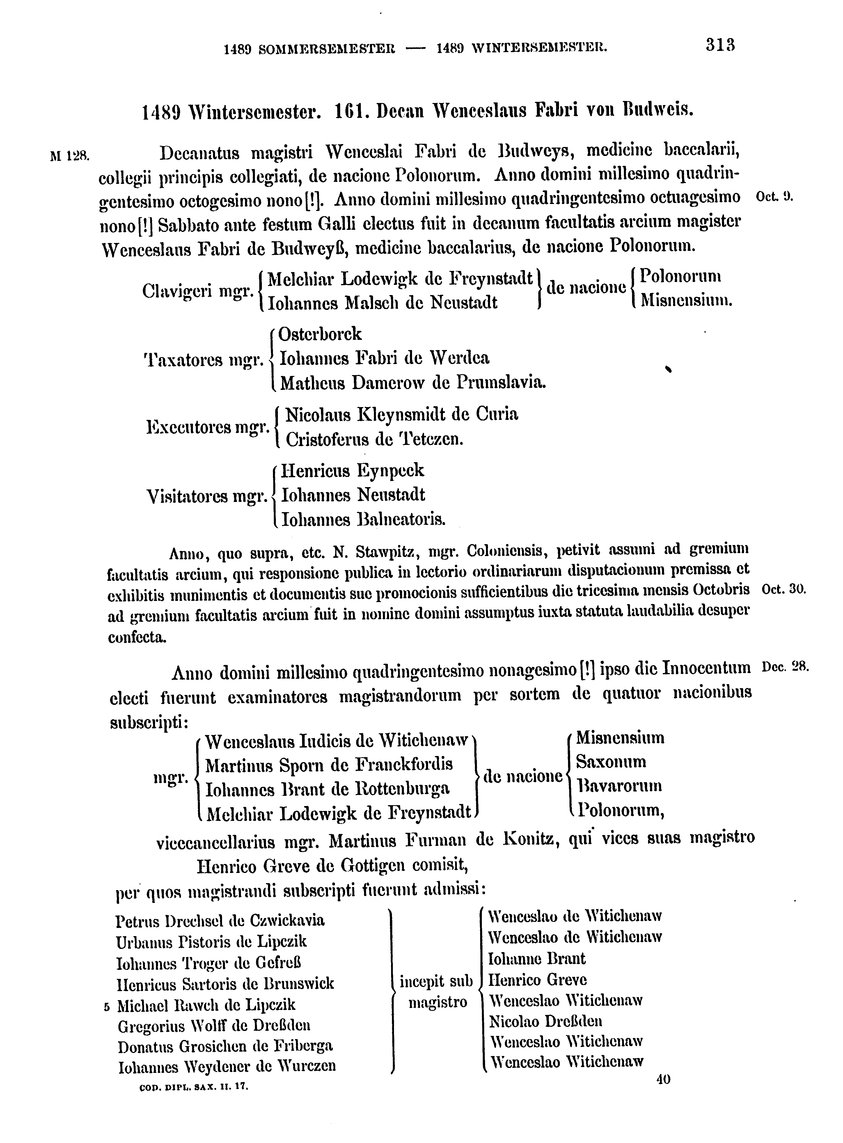 Historische Urkunde Seite 313 aus Band cds2_17