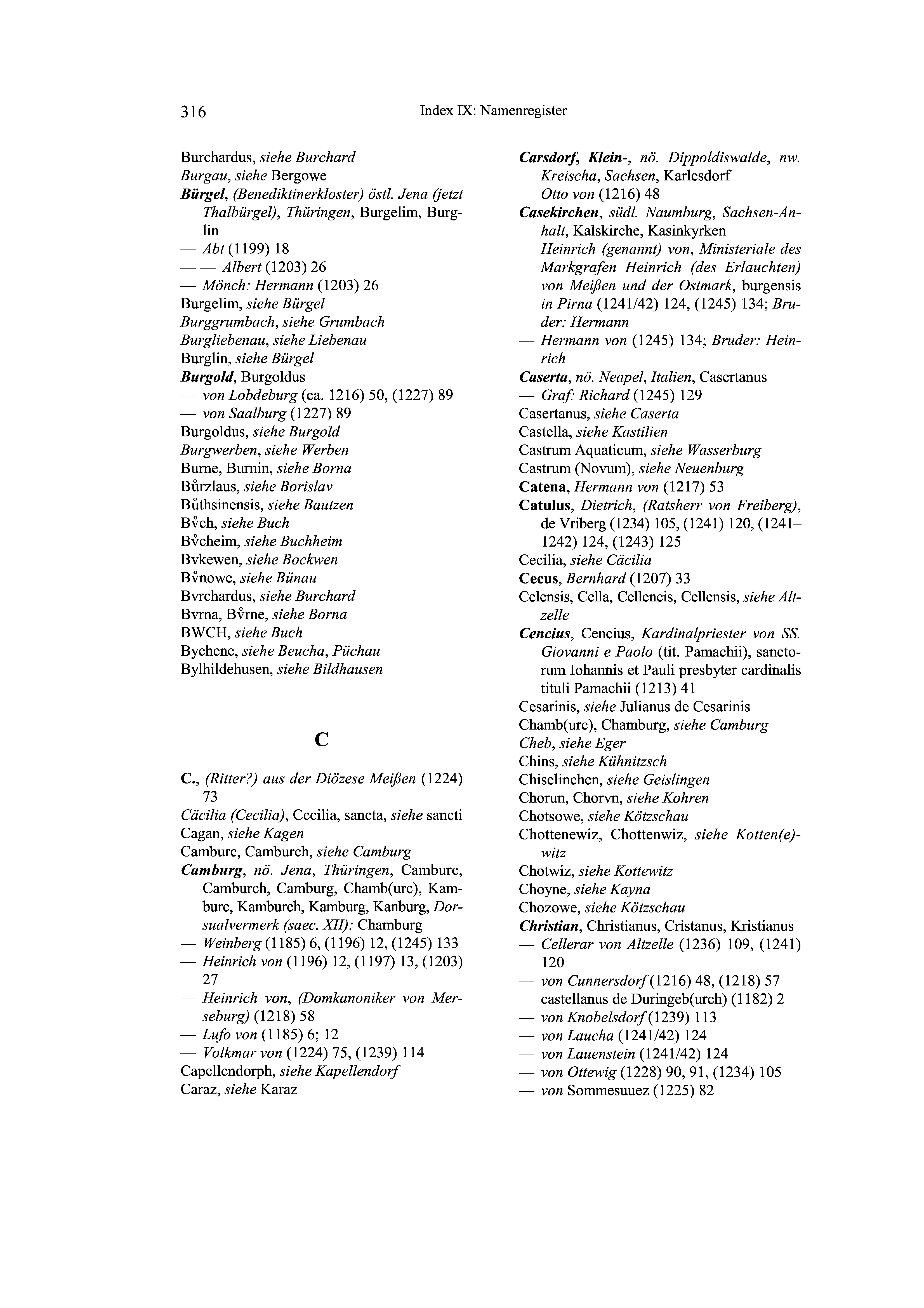 Historische Urkunde Seite 316 aus Band cds2_19