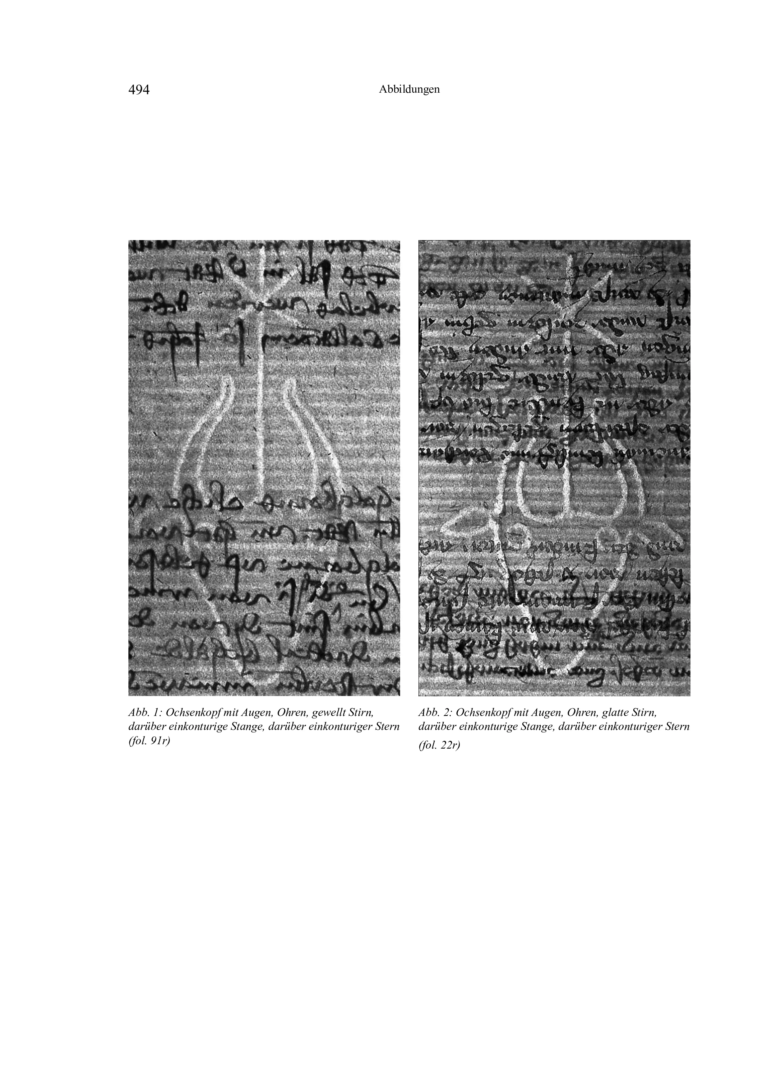 Historische Urkunde Seite 2 aus Band cds2_20