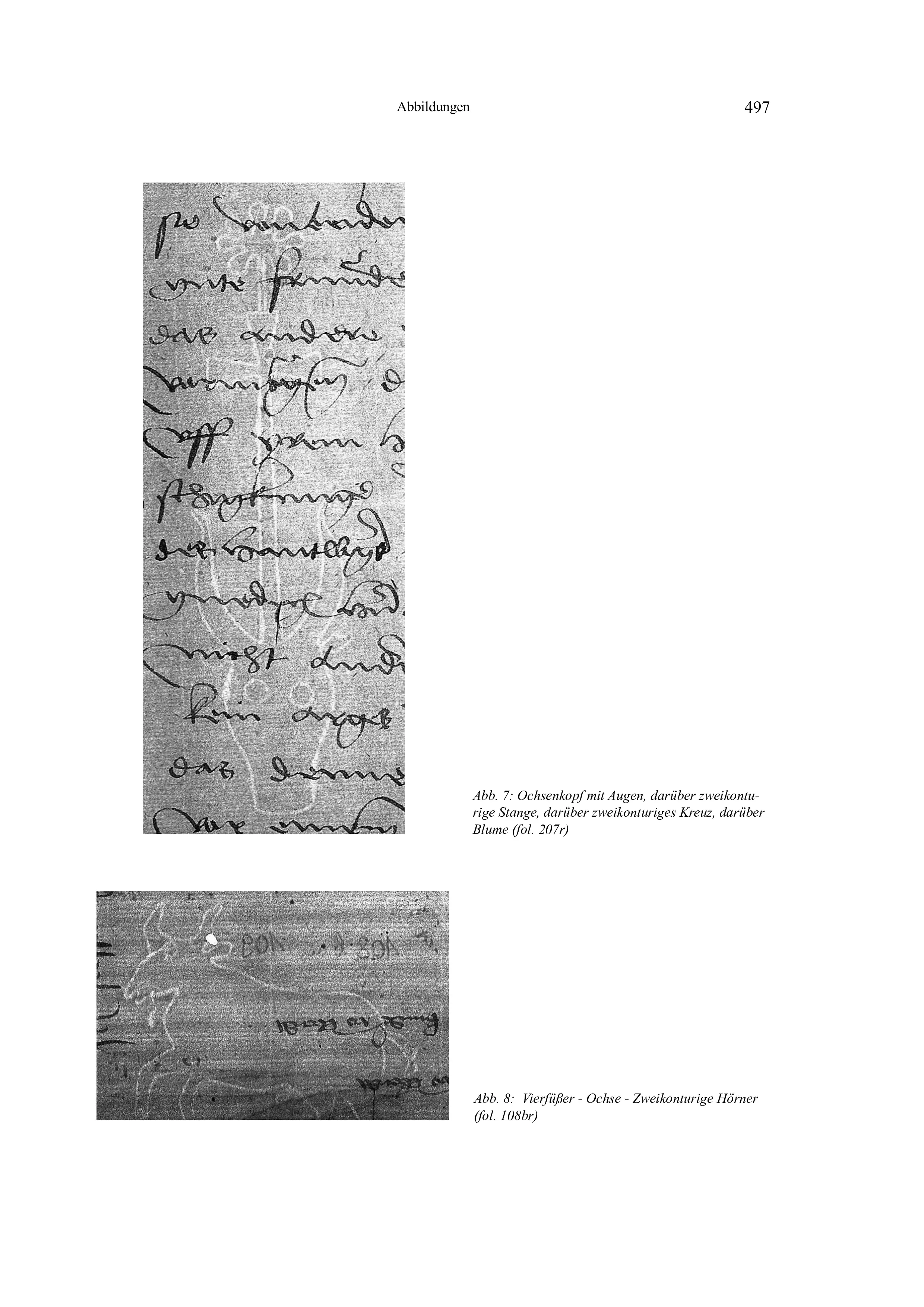 Historische Urkunde Seite 5 aus Band cds2_20